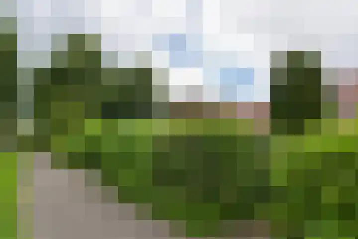 Trilgras 6 Wilnis thumbnail 46