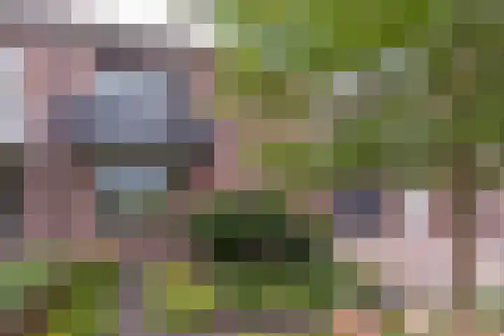 Trilgras 6 Wilnis thumbnail 5