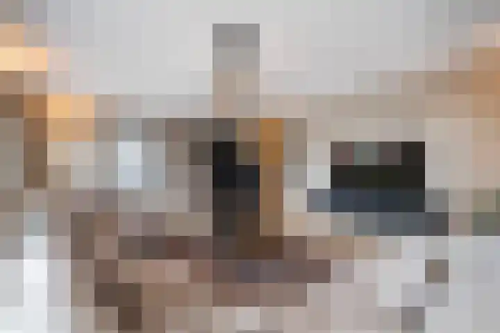 Trilgrasstraat 5 Rijswijk thumbnail 11