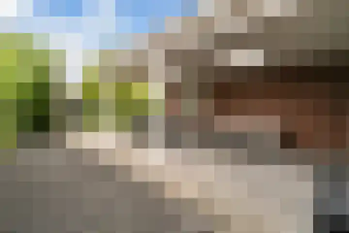 Trilgrasstraat 5 Rijswijk thumbnail 22