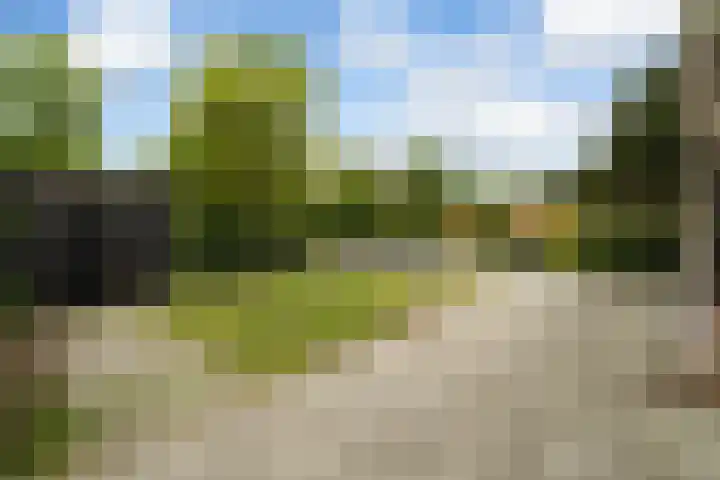 Trilgrasstraat 5 Rijswijk thumbnail 23