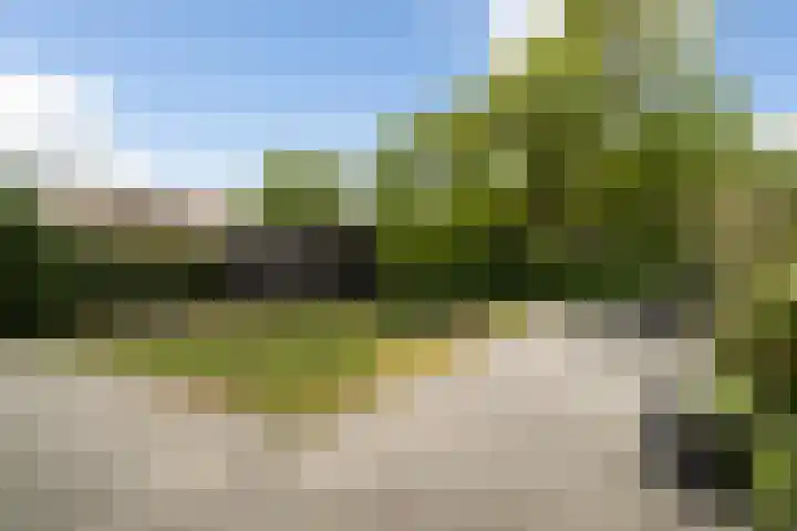 Trilgrasstraat 5 Rijswijk thumbnail 24