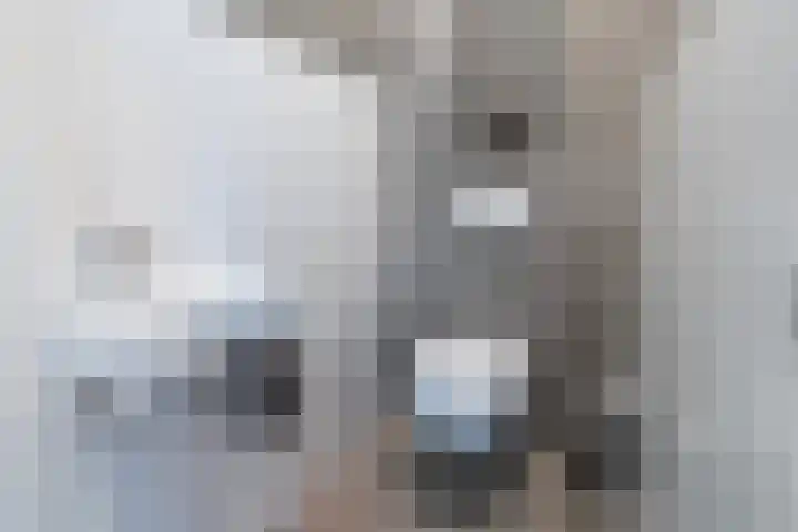Trilgrasstraat 5 Rijswijk thumbnail 40