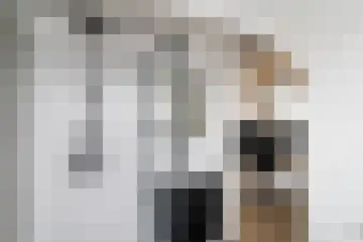 Trilgrasstraat 5 Rijswijk thumbnail 46