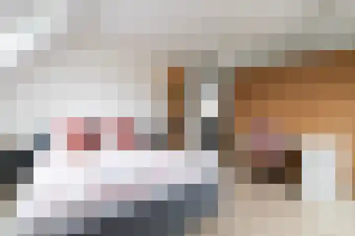 Trilgrasstraat 5 Rijswijk thumbnail 48