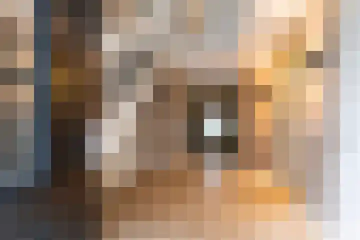 Trilgrasstraat 5 Rijswijk thumbnail 7