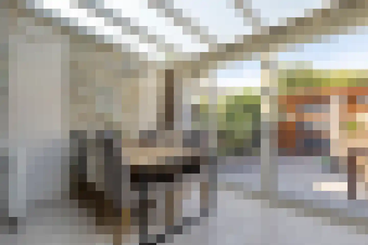 Trilveenstraat 20 Purmerend thumbnail 11