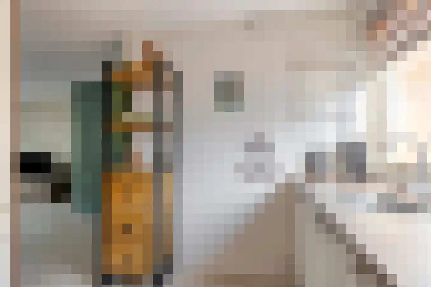 Trilveenstraat 20 Purmerend thumbnail 15