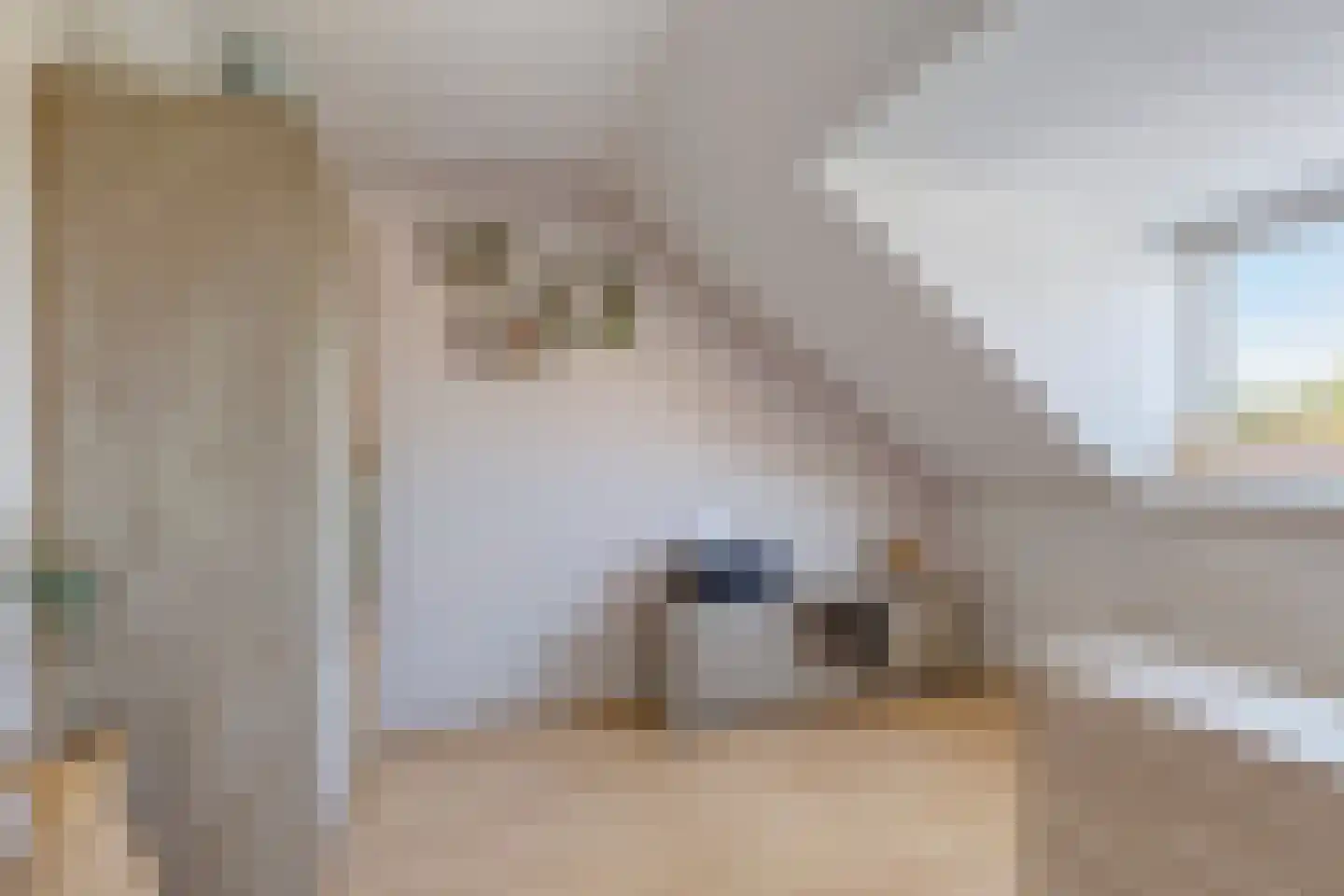 Trilveenstraat 20 Purmerend thumbnail 26