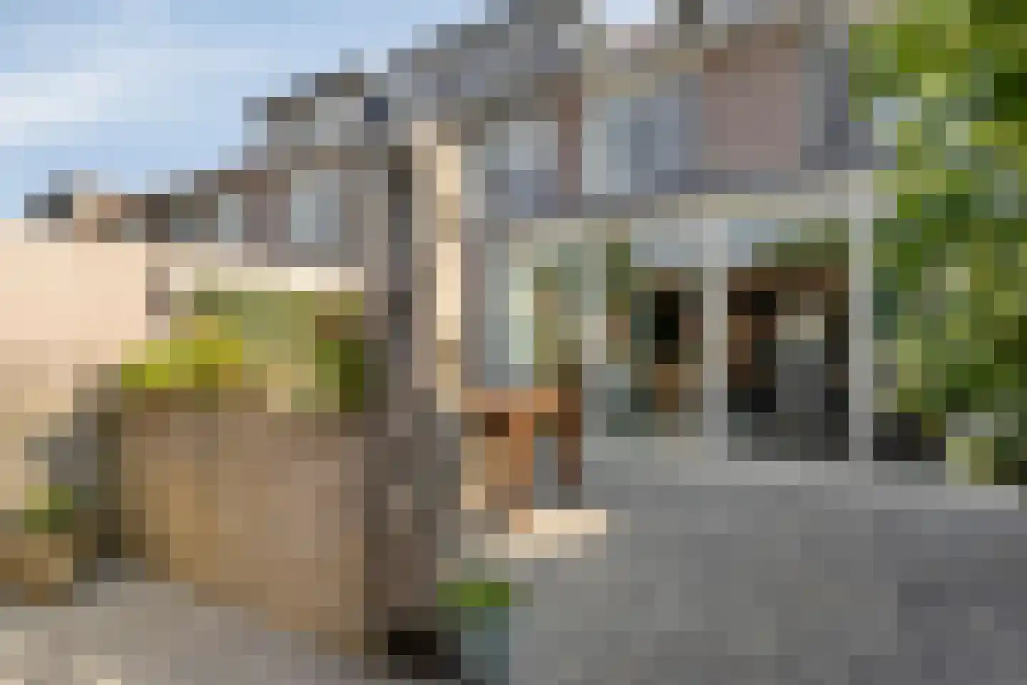 Trilveenstraat 20 Purmerend thumbnail 29