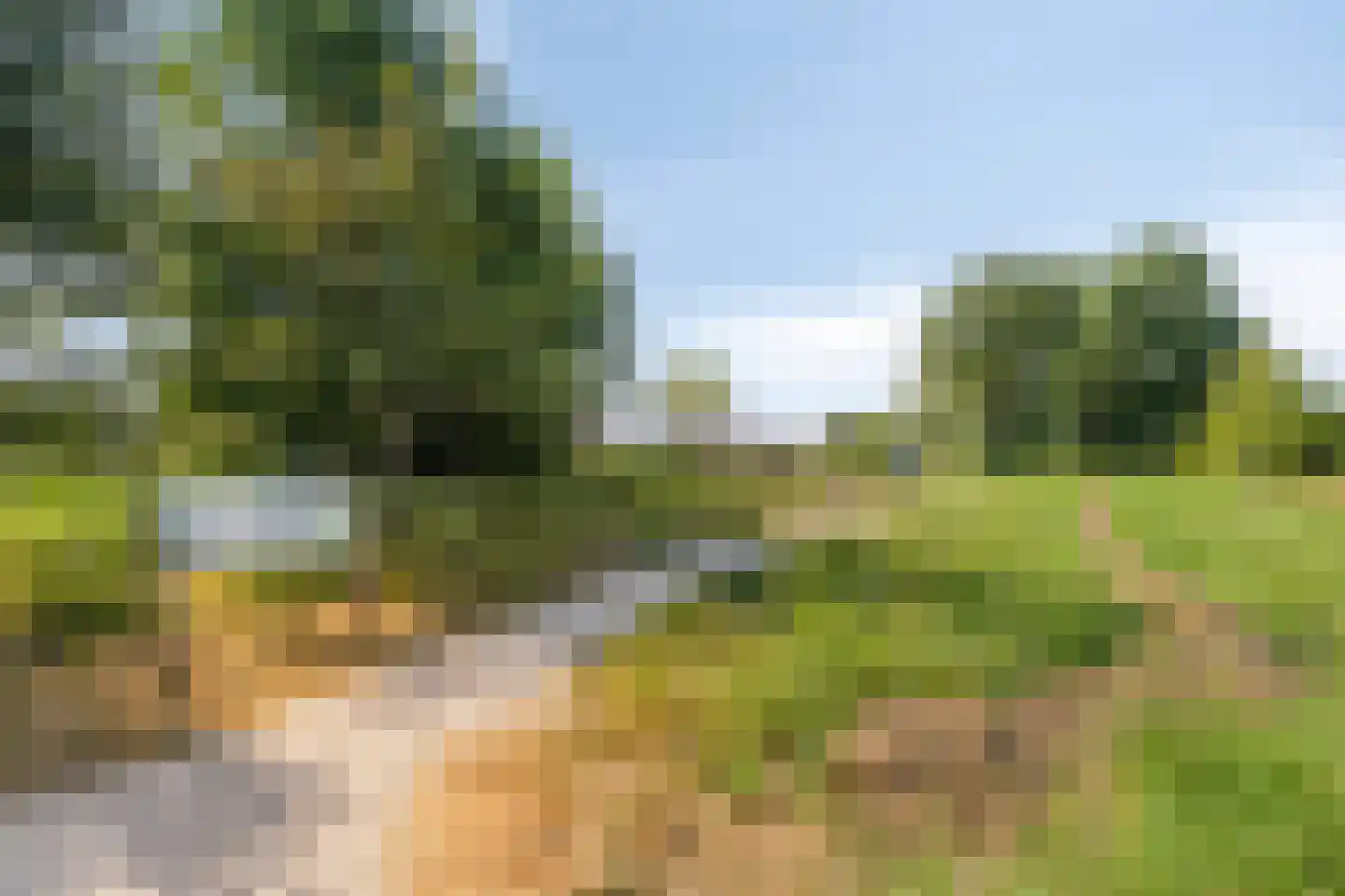 Trilveenstraat 20 Purmerend thumbnail 35