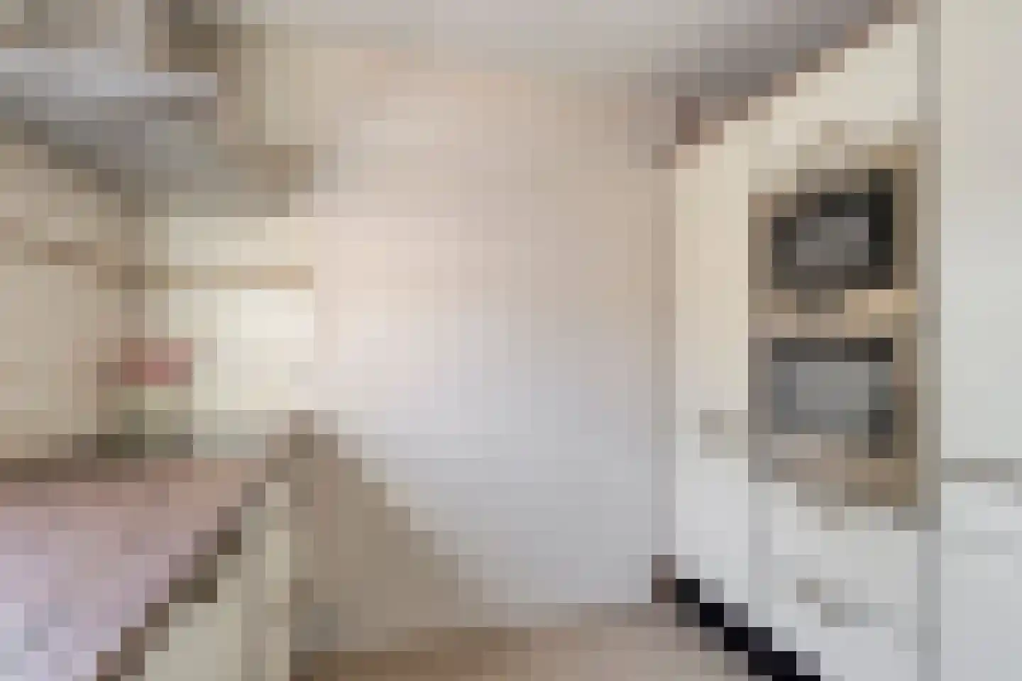 Trilveenstraat 20 Purmerend thumbnail 4
