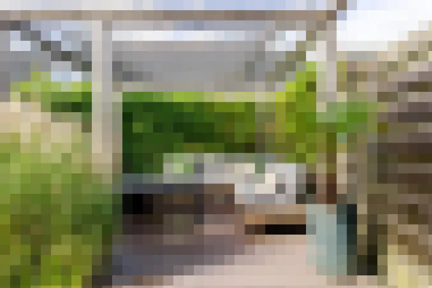 Trimbeets 14 Gorredijk thumbnail 11