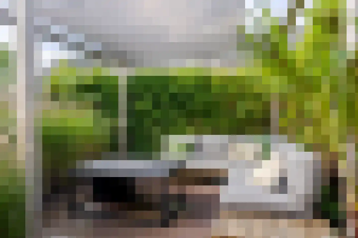 Trimbeets 14 Gorredijk thumbnail 12