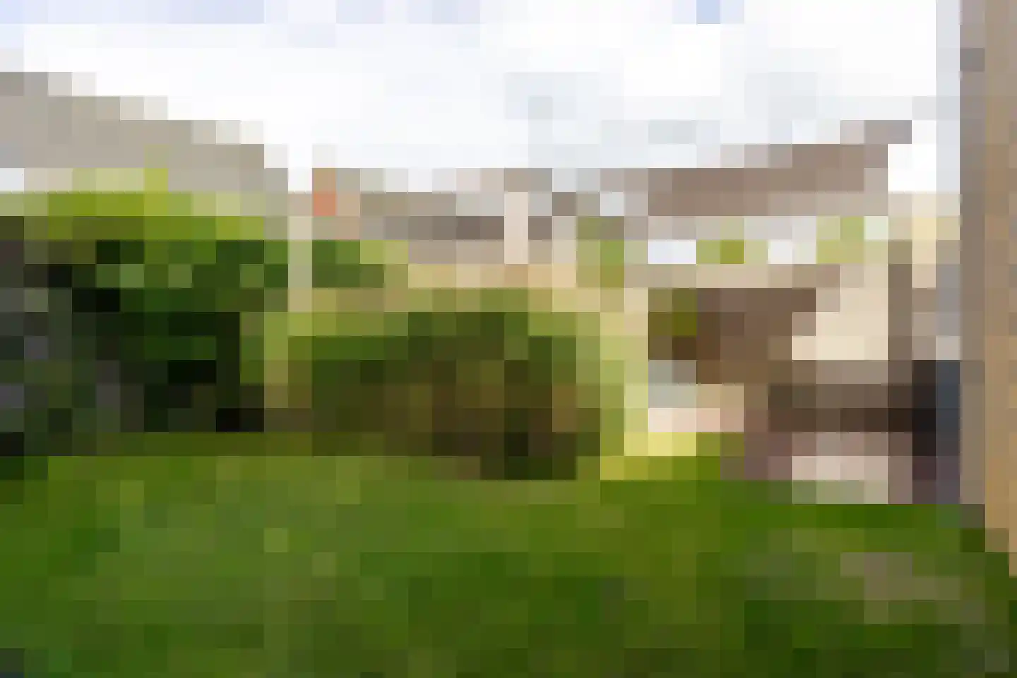 Trimbeets 14 Gorredijk thumbnail 13