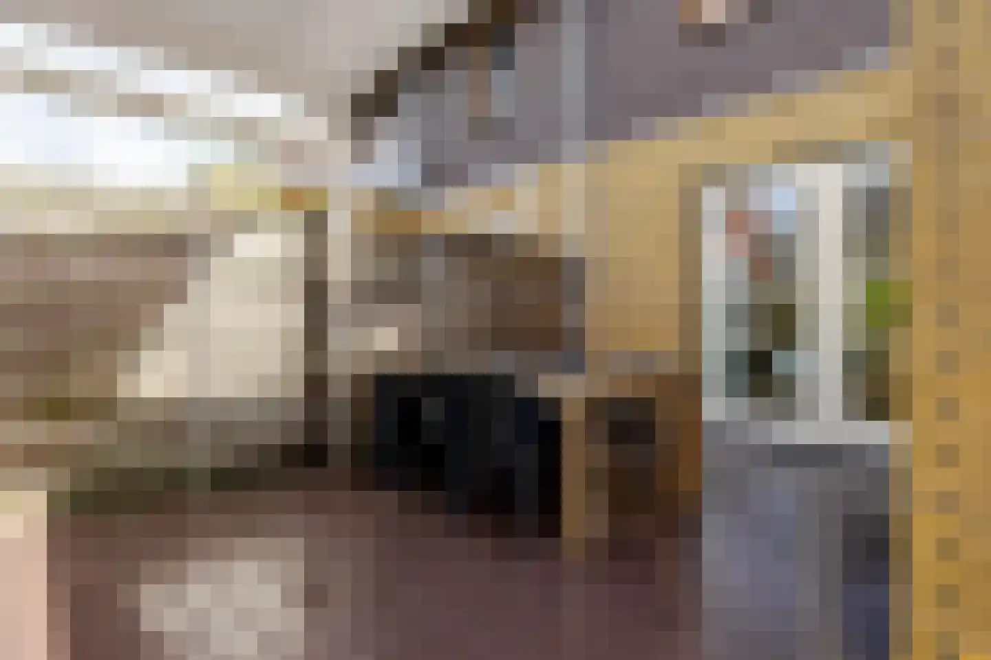 Trimbeets 14 Gorredijk thumbnail 15