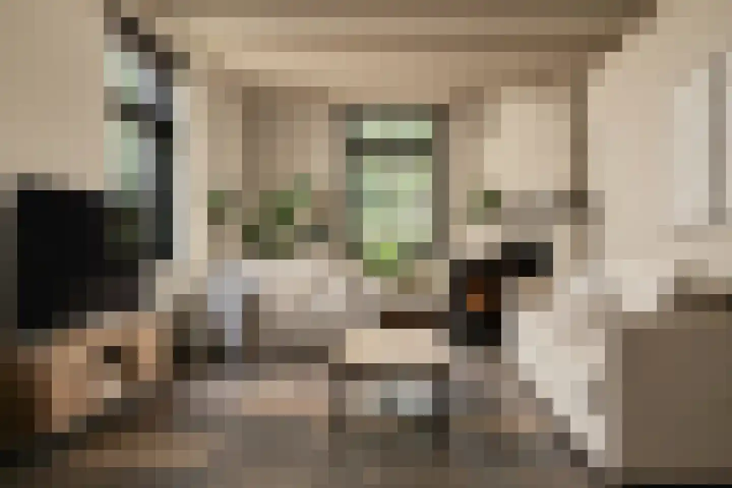 Trimpert 25 Mierlo thumbnail 10