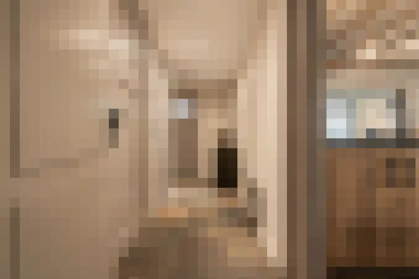 Trimpert 25 Mierlo thumbnail 12