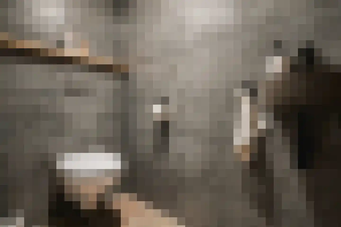 Trimpert 25 Mierlo thumbnail 13