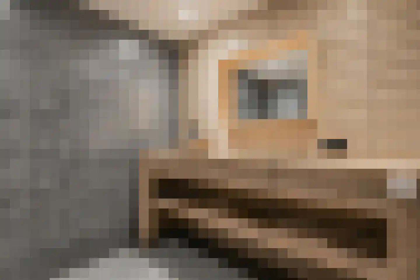 Trimpert 25 Mierlo thumbnail 14