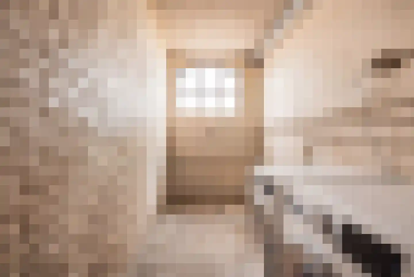 Trimpert 25 Mierlo thumbnail 16
