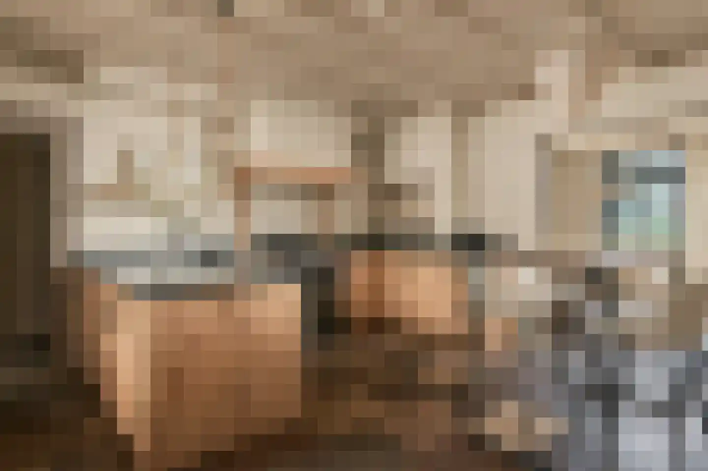 Trimpert 25 Mierlo foto 2