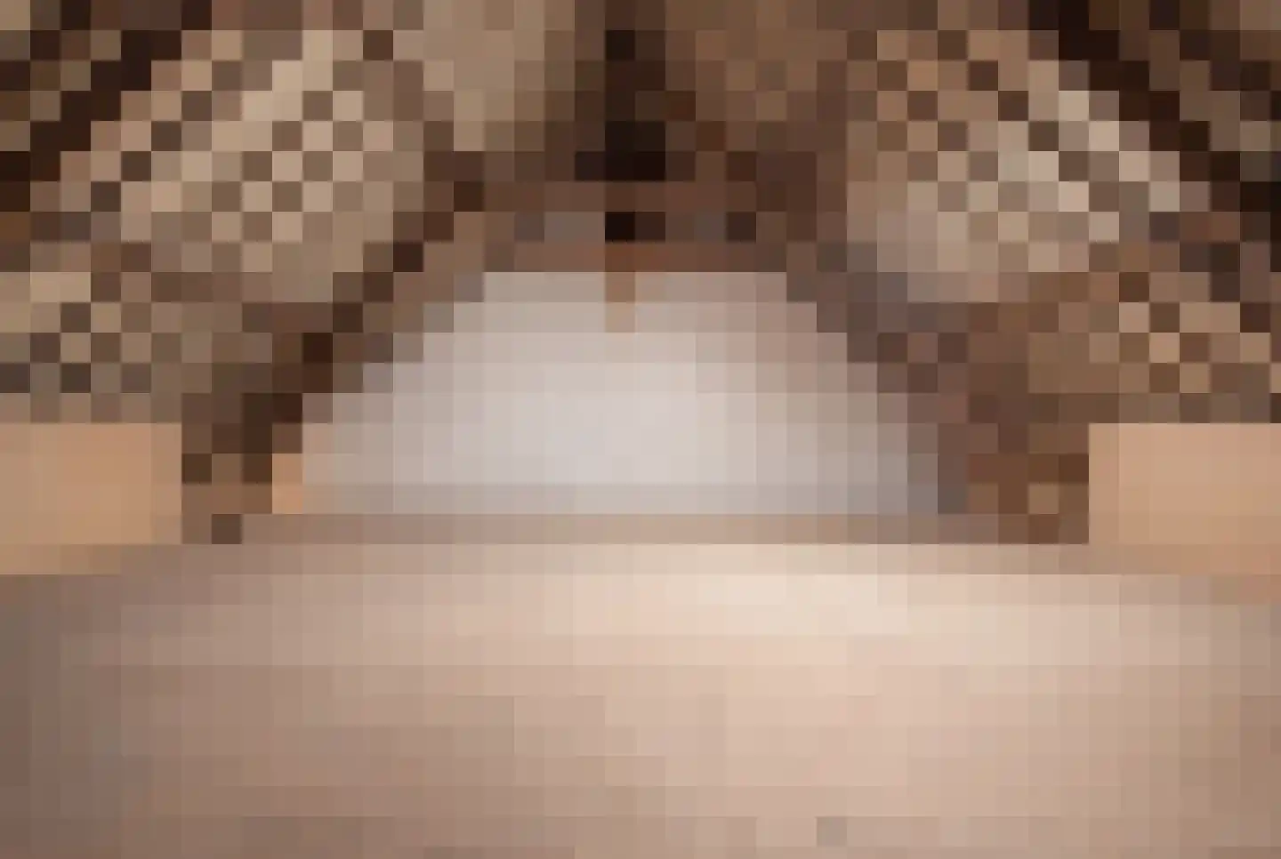 Trimpert 25 Mierlo thumbnail 20