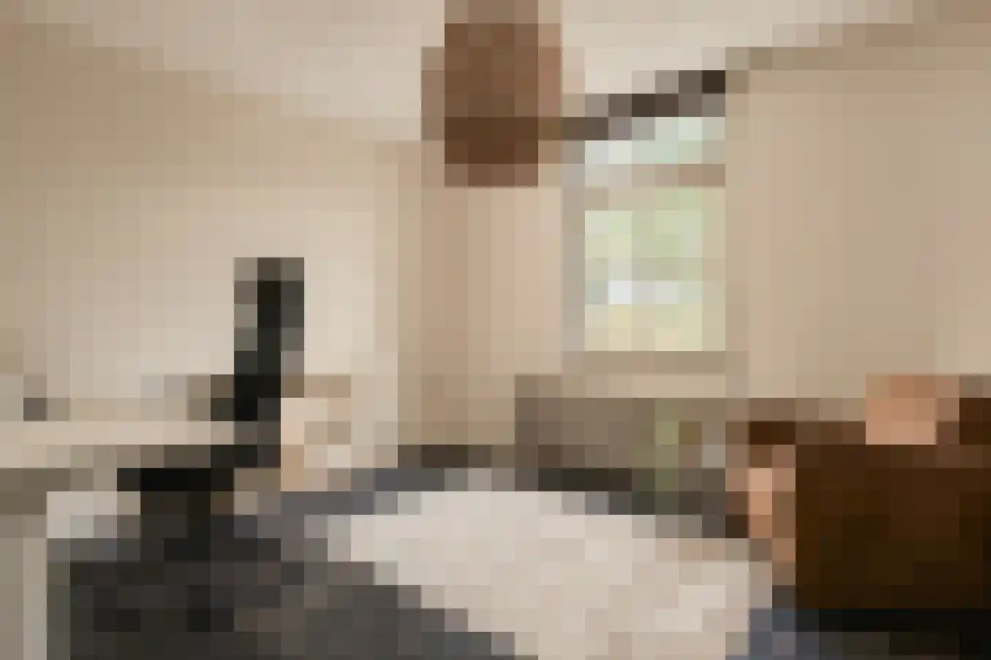 Trimpert 25 Mierlo thumbnail 21