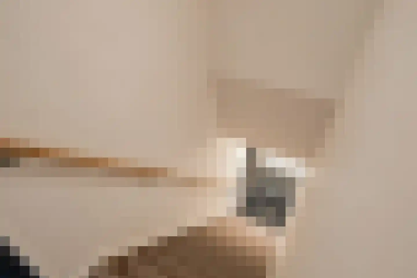 Trimpert 25 Mierlo thumbnail 22