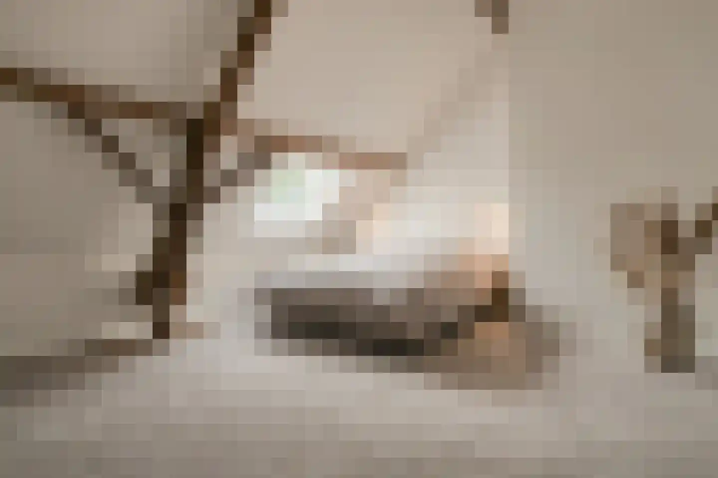 Trimpert 25 Mierlo thumbnail 23