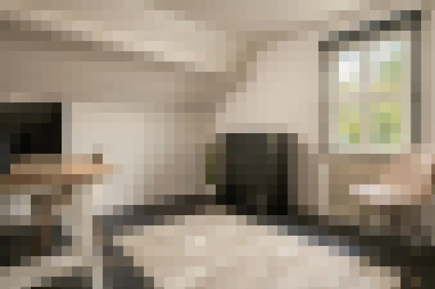 Trimpert 25 Mierlo thumbnail 28