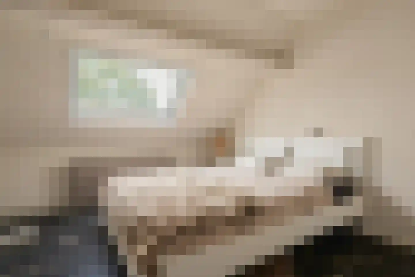 Trimpert 25 Mierlo thumbnail 29