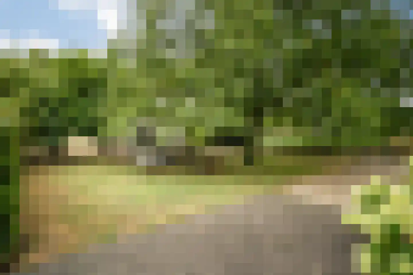 Trimpert 25 Mierlo thumbnail 33