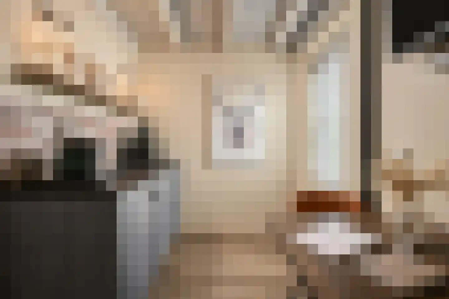 Trimpert 25 Mierlo thumbnail 36