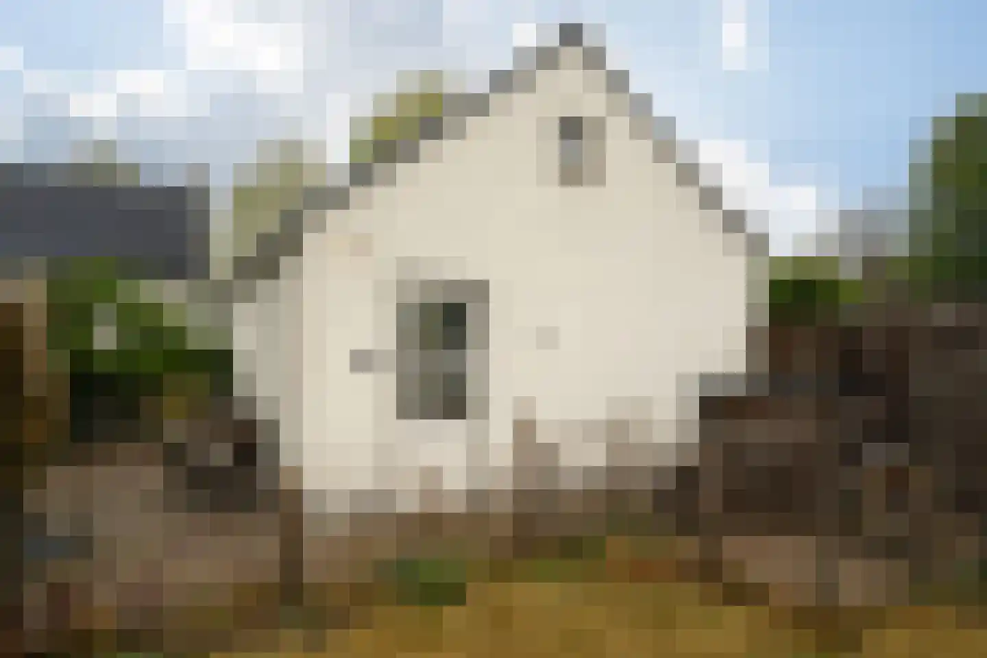 Trimpert 25 Mierlo thumbnail 38