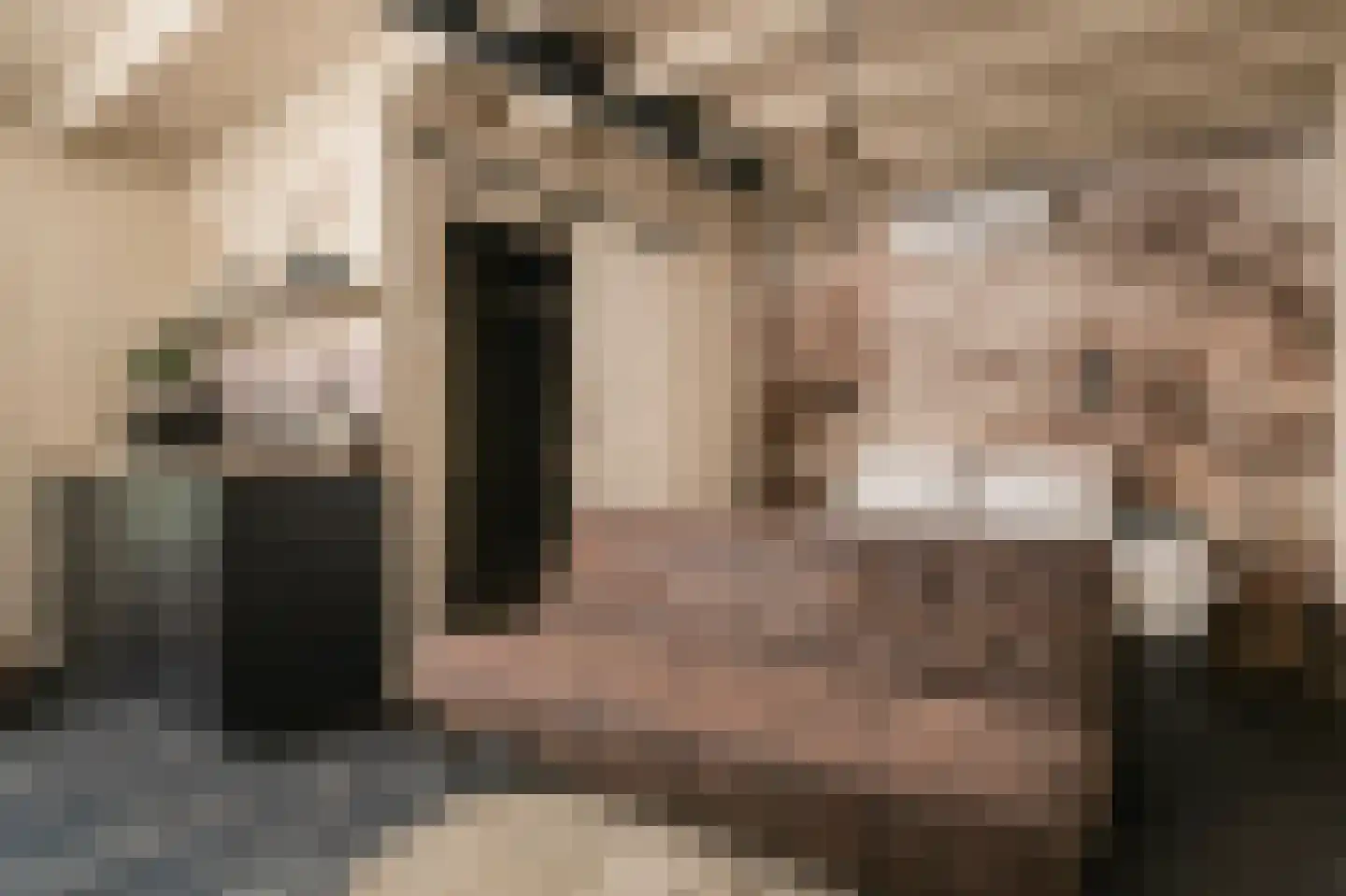 Trimpert 25 Mierlo thumbnail 39