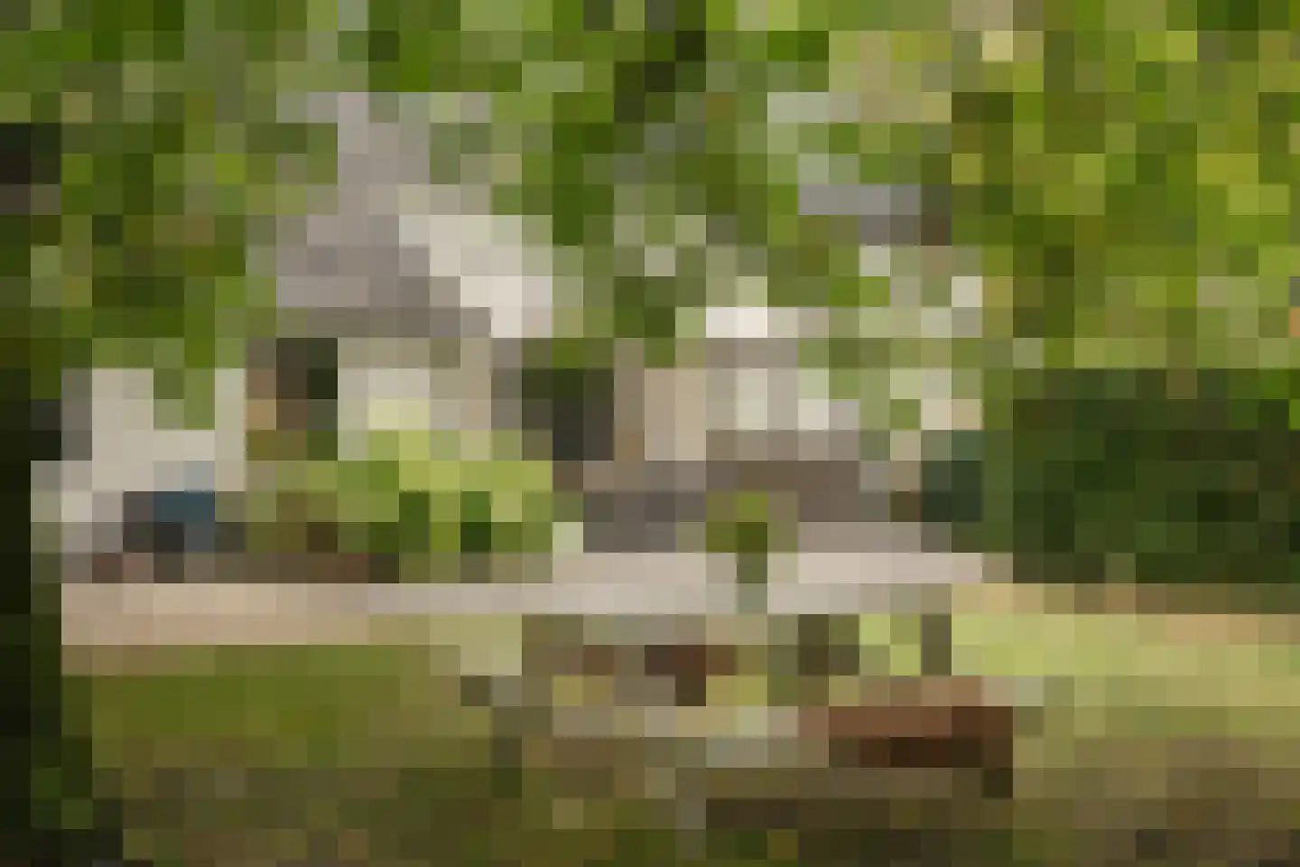 Trimpert 25 Mierlo thumbnail 4