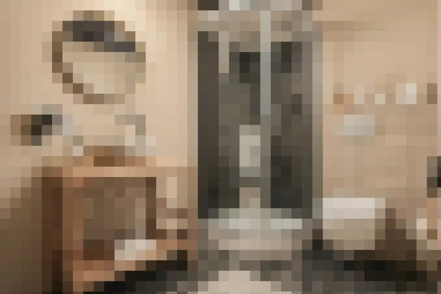 Trimpert 25 Mierlo thumbnail 41