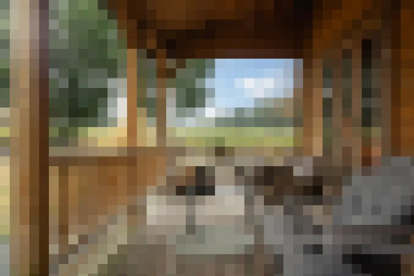 Trimpert 25 Mierlo thumbnail 43