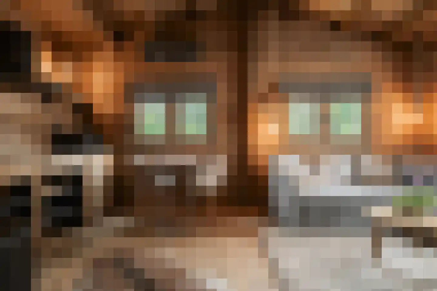 Trimpert 25 Mierlo thumbnail 44