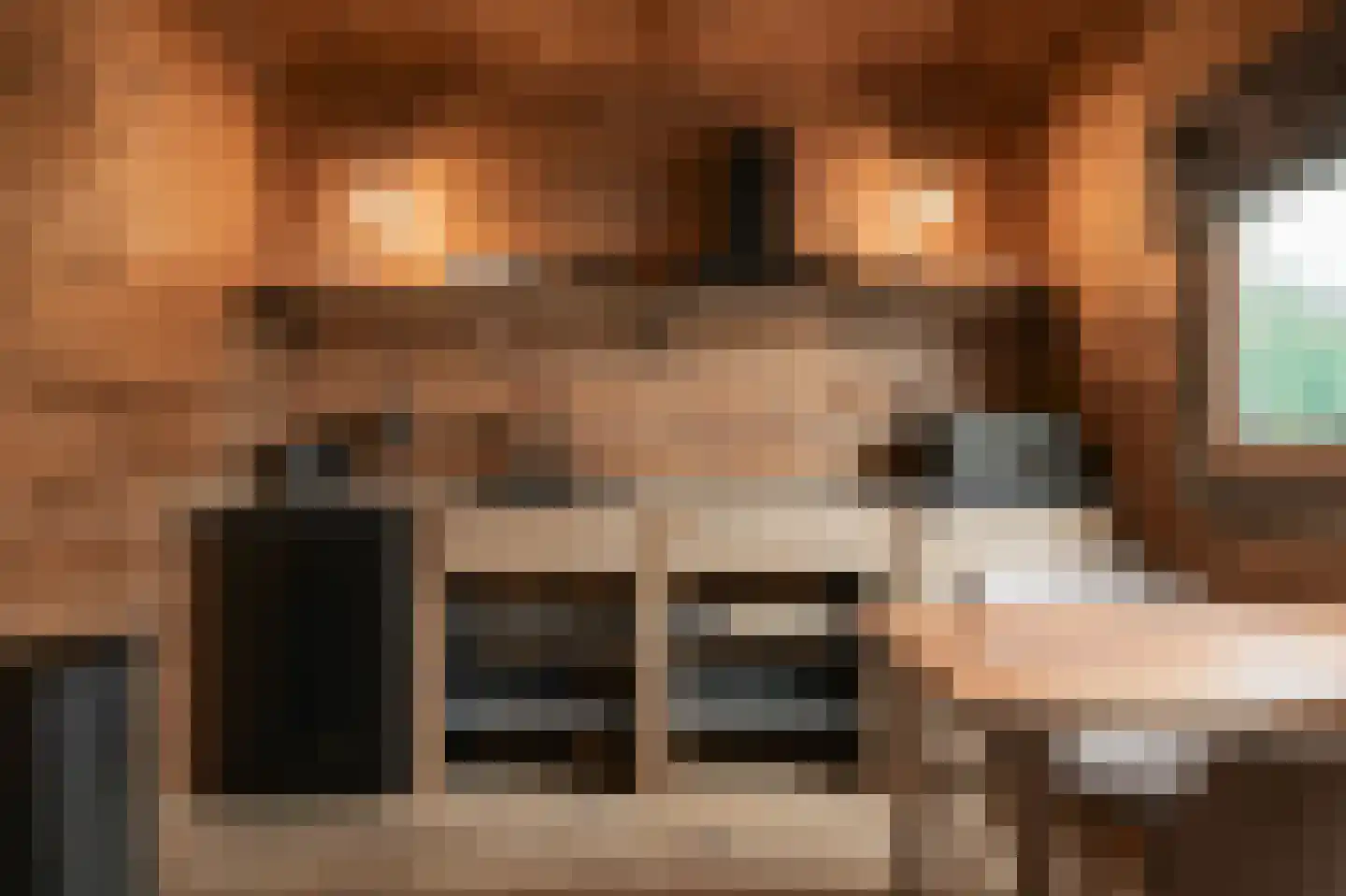 Trimpert 25 Mierlo thumbnail 45