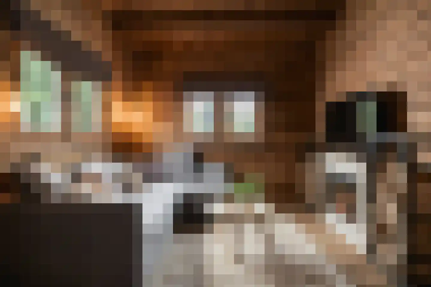 Trimpert 25 Mierlo thumbnail 46