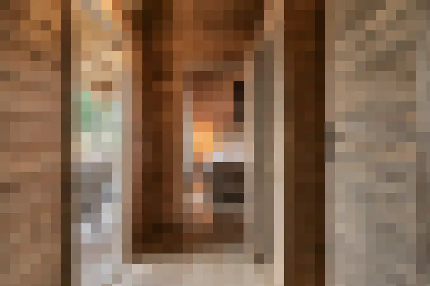 Trimpert 25 Mierlo thumbnail 47