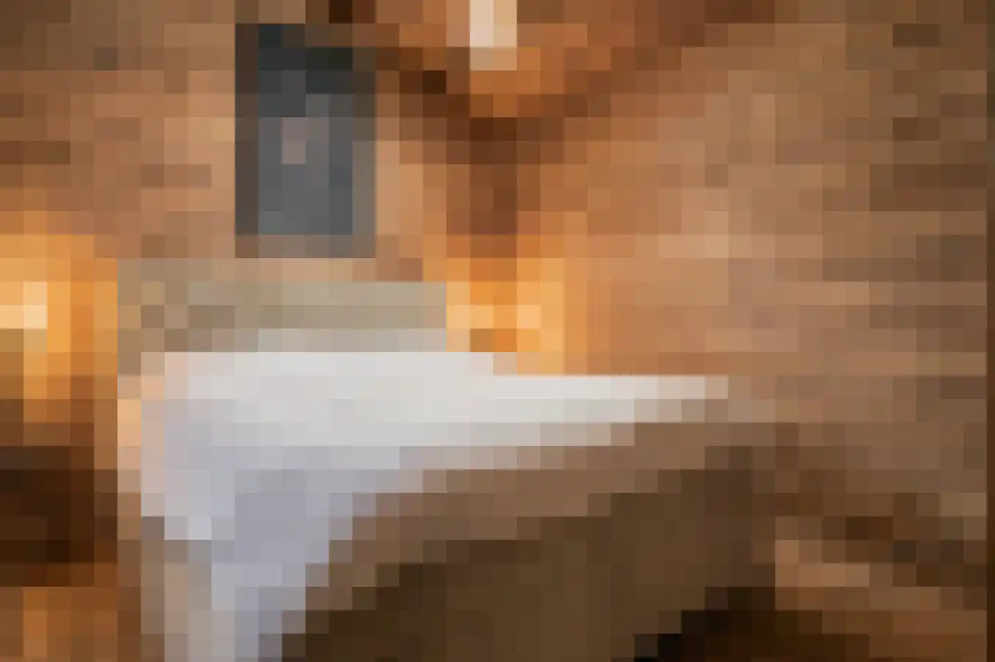 Trimpert 25 Mierlo thumbnail 48