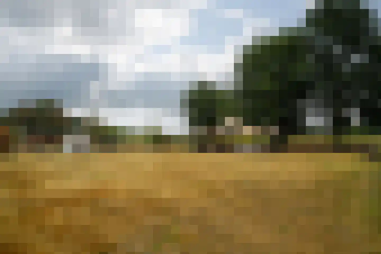 Trimpert 25 Mierlo thumbnail 51