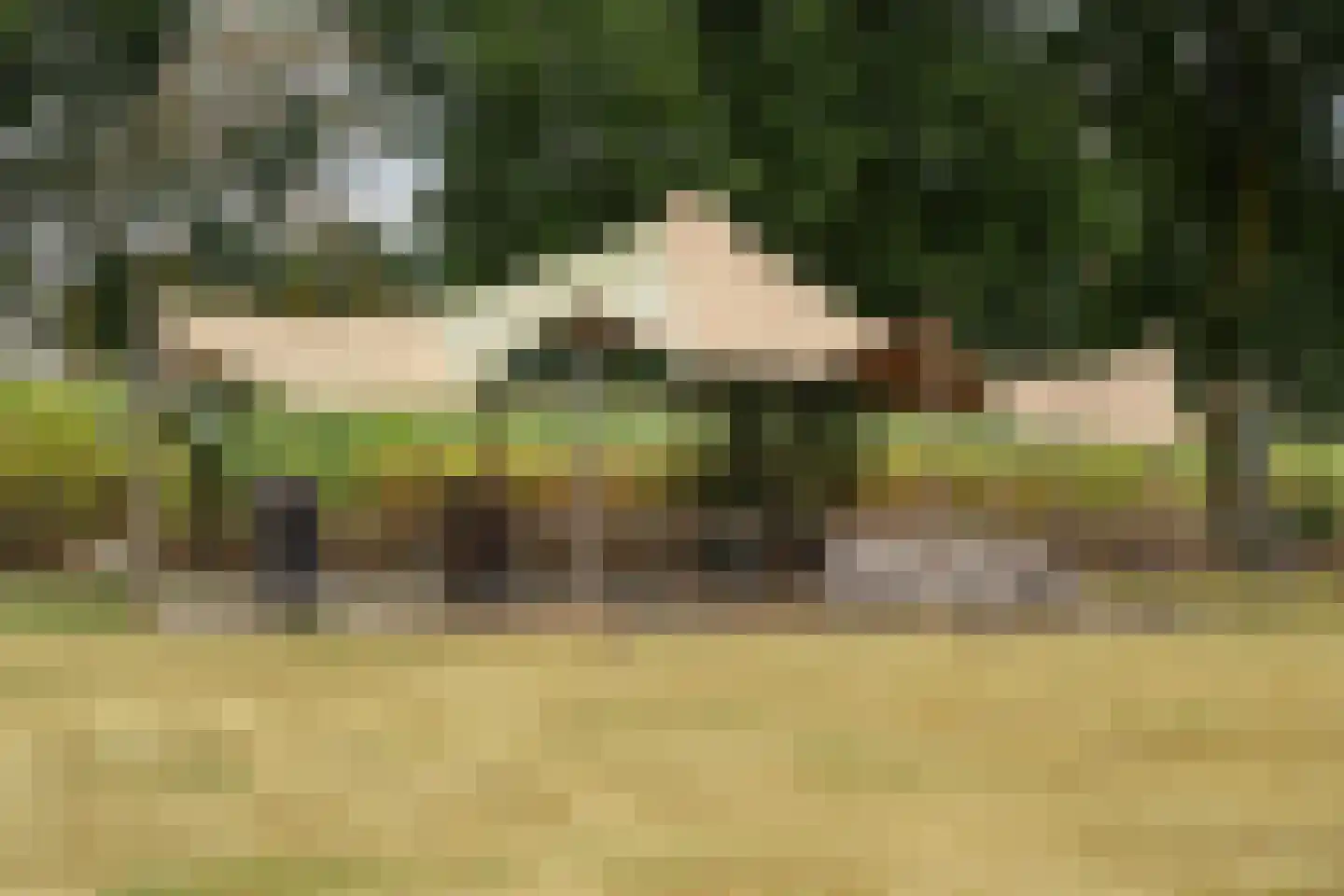Trimpert 25 Mierlo thumbnail 52