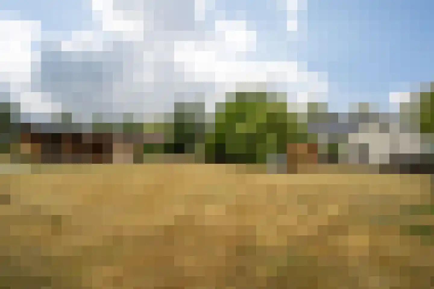 Trimpert 25 Mierlo thumbnail 53
