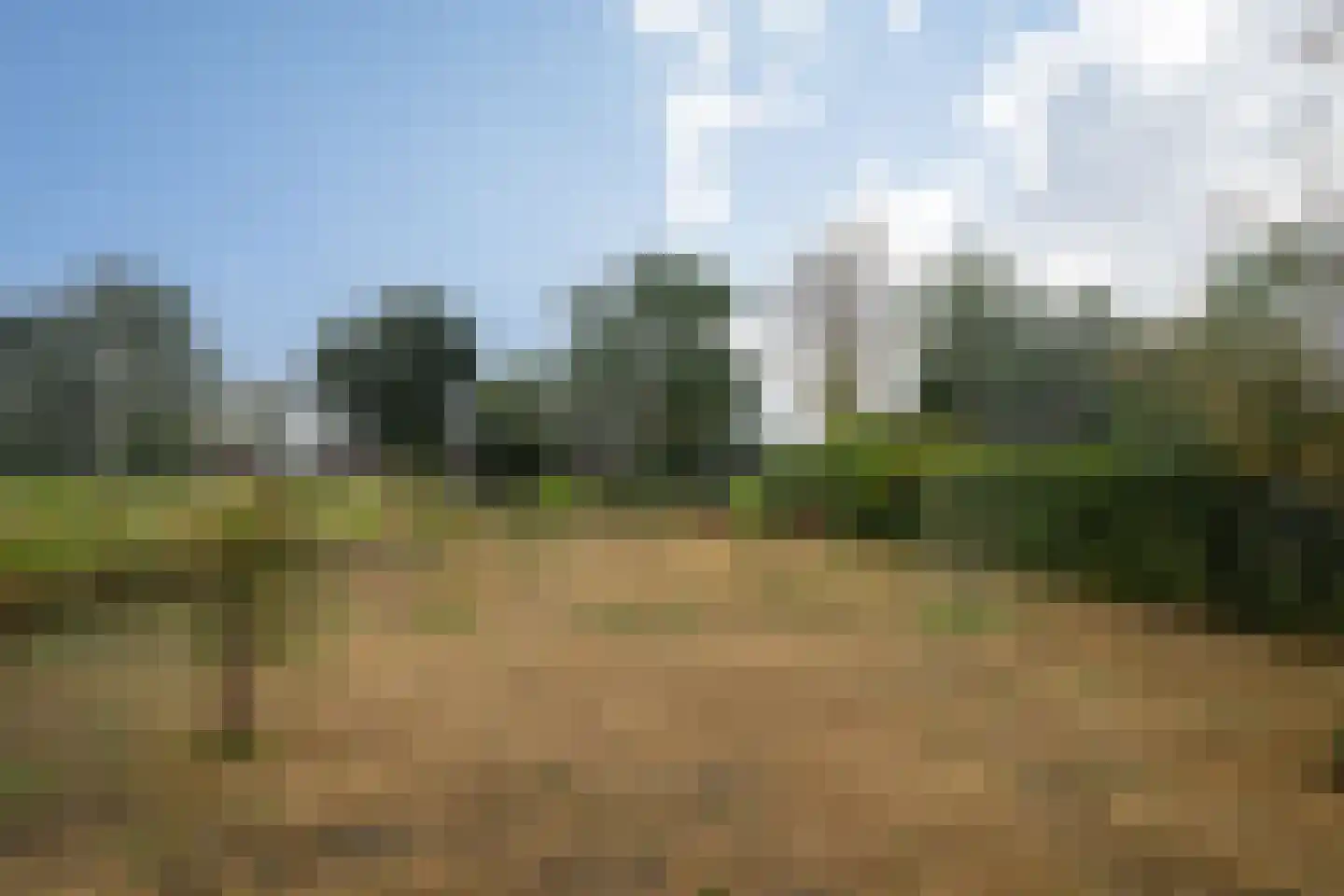 Trimpert 25 Mierlo thumbnail 55
