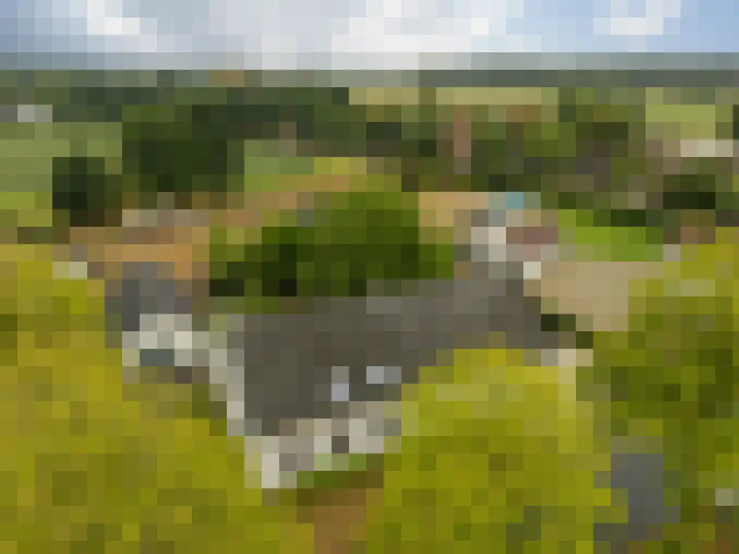 Trimpert 25 Mierlo thumbnail 56