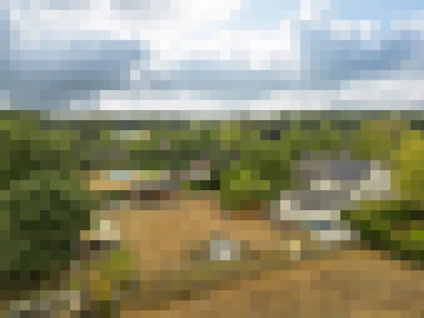 Trimpert 25 Mierlo thumbnail 59